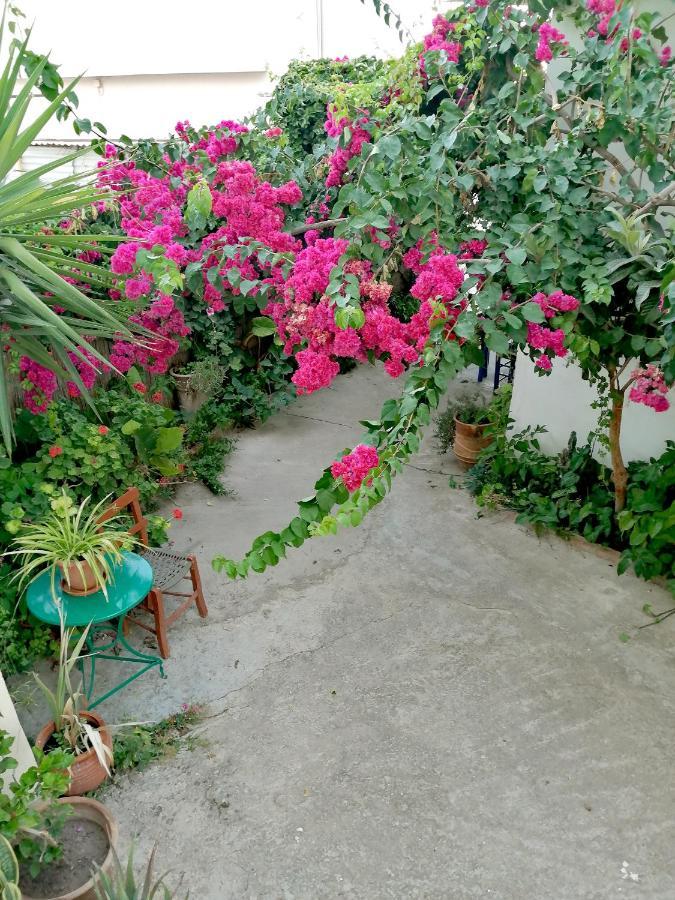 Katerina Rooms & Studios Palekastro Luaran gambar