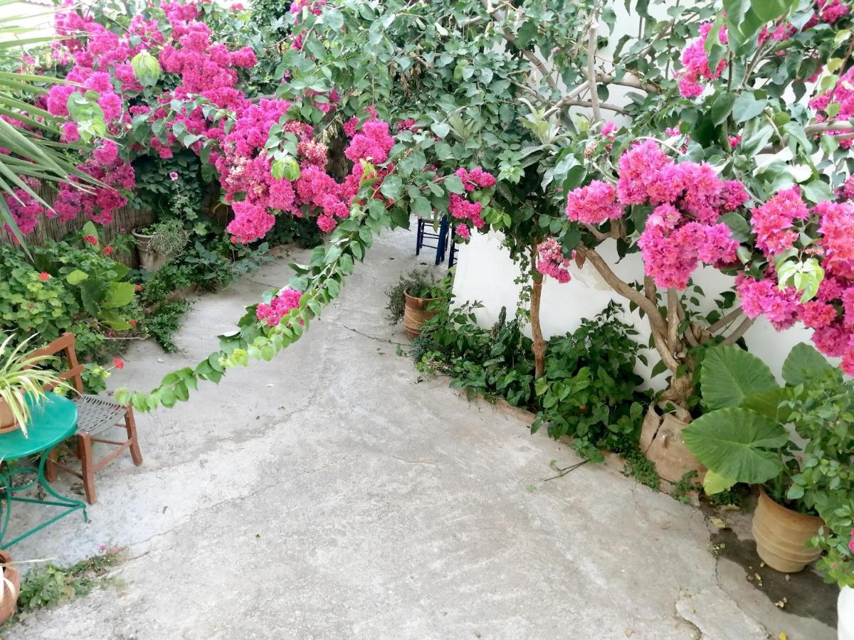 Katerina Rooms & Studios Palekastro Luaran gambar