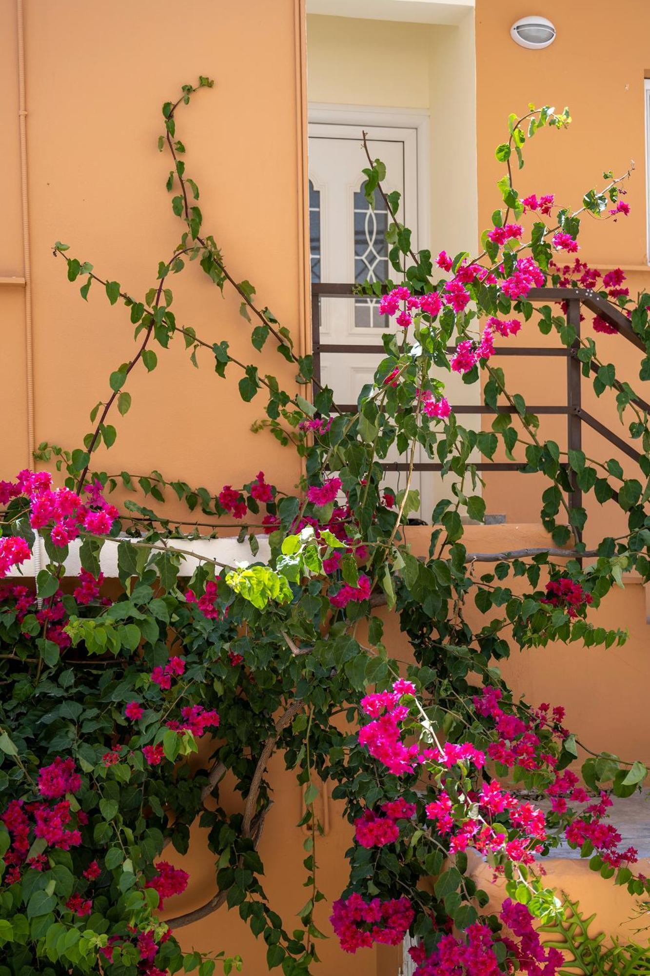 Katerina Rooms & Studios Palekastro Luaran gambar
